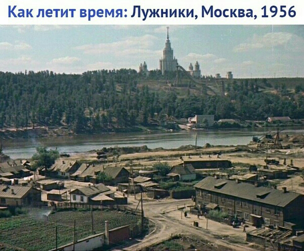 Лужники Москва 1956