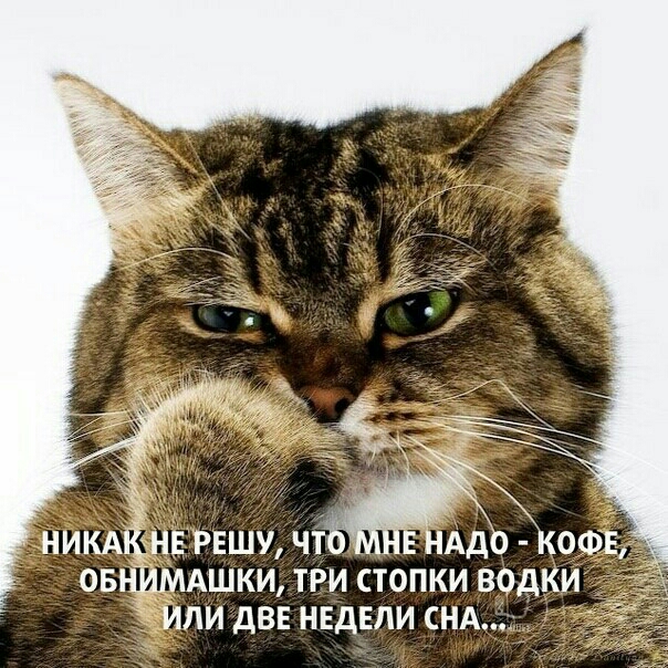 ИЛИ дВЕ НЕДЕЛИ СНА