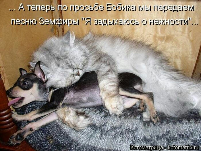 16 П19ее без Е0б ИВ М В ао ЕО