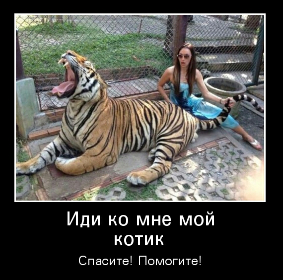 Иди ко мне мой КОТИК Спасите Помогите