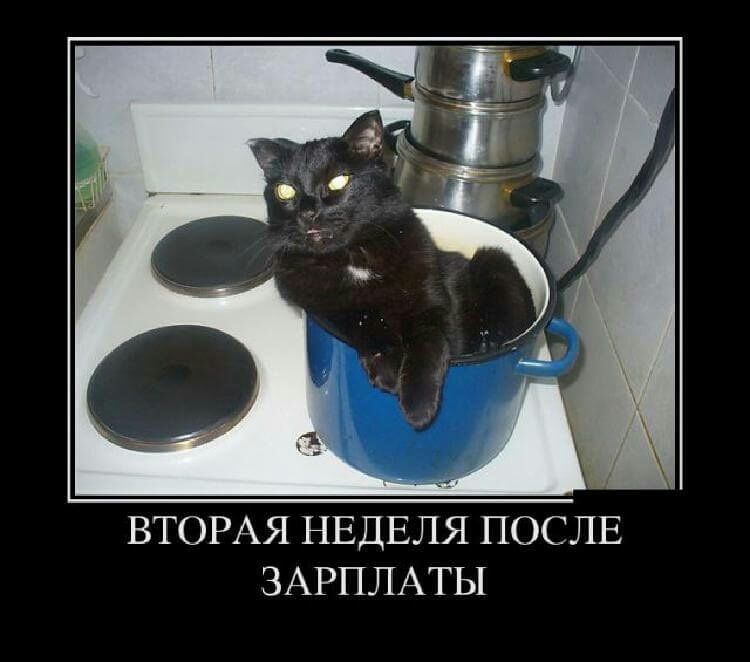ВТОРАЯ НЕДЕЛЯ ПОСЛЕ ЗАРПЛАТЫ