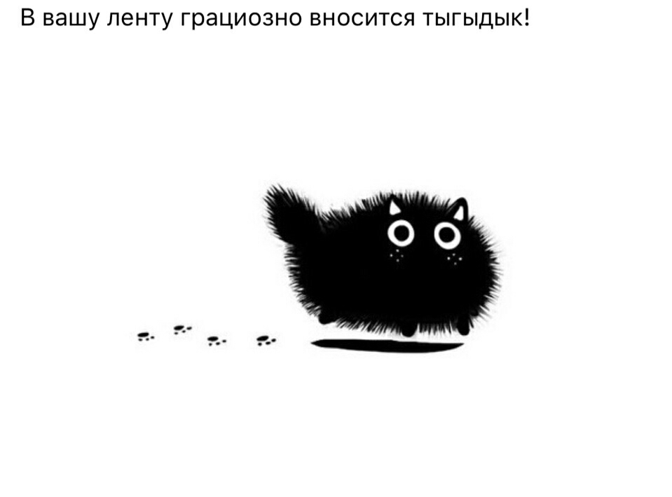 В вашу ленту грациозно вносится тыгыдык