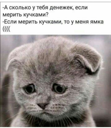 А сколько у тебя денежек если мерить кучками Если мерить кучками то у меня ямка ттт