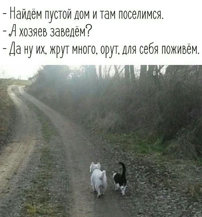 Найдем пустой дом и там поселимся д хозяев заведём Да ну их жрут много орут для себя поживем М