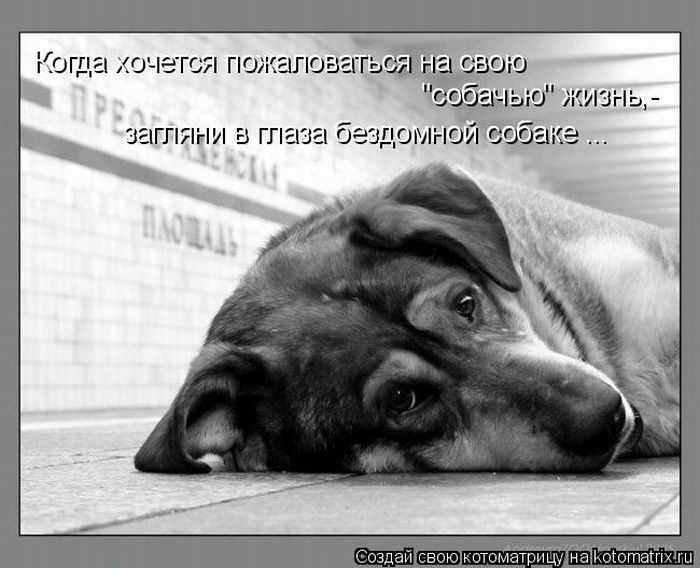 Когда ОЧЭТСЯ пажапаашшіг гіаиш но диана загпяни 5 шага бгдоиоіёцг3аке