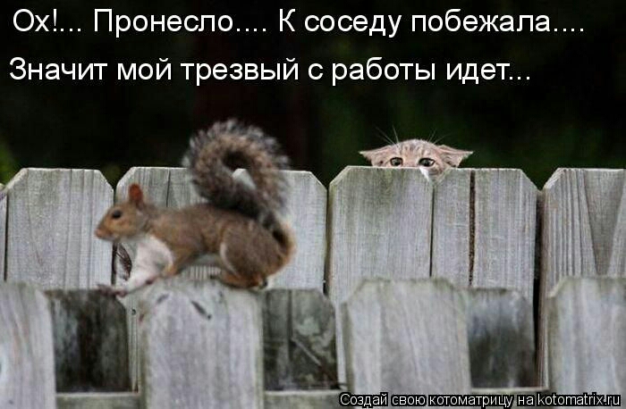Ох Пренеспо К соседу побежала Значит мой трезвый работы ищет