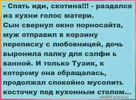 Спать иди скотина раздала из кухни голос матери Сын свернул окно порносайта муж отправил в корзину переписку любовницей дочь выронила папку для сэлфи в ванной И только Тузик к которому она обращалась продолжал спокойно мусолить косточку под кухонным стола