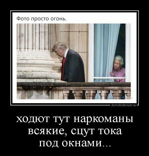 ходют тут наркоманы всякие сцут тока под окнами