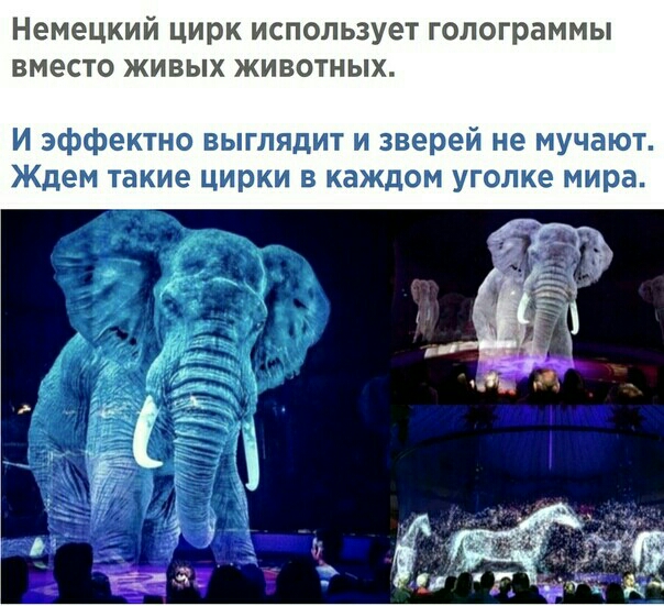 Немецкий цирк использует голограммы вместо живых животных И эффектно выглядит и зверей не мучают Ждем такие цирки в каждом уголке мира