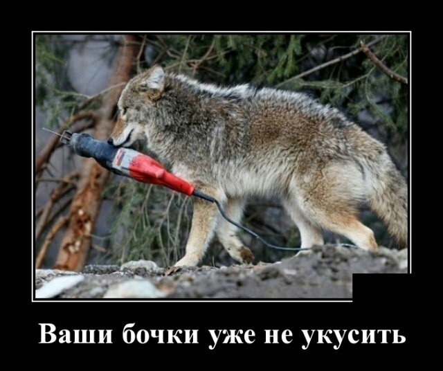 Ваши бочки уже не укусить