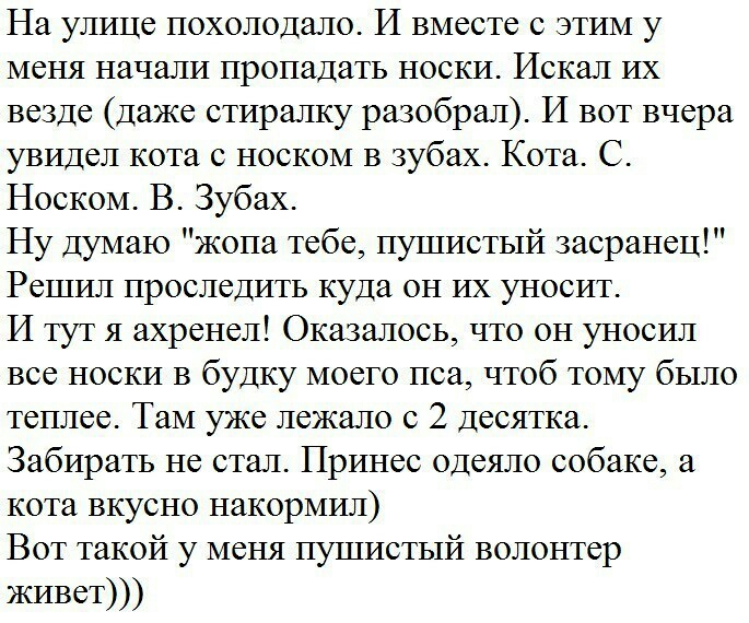На улице похолодало И вместе с этим у меня начали пропадать носки Искал их везде даже стиралку разобрал И вот вчера увидел кота с носком в зубах Кота С Носком В Зубах Ну думаю жопа тебе пушистый засранец Решил проследить куда он их уносит И тут я ахренел Оказалось что он уносил все носки в будку моего пса чтоб тому было теплее Там уже лежало с 2 десятка Забирать не стал Принес одеяло собаке а кота