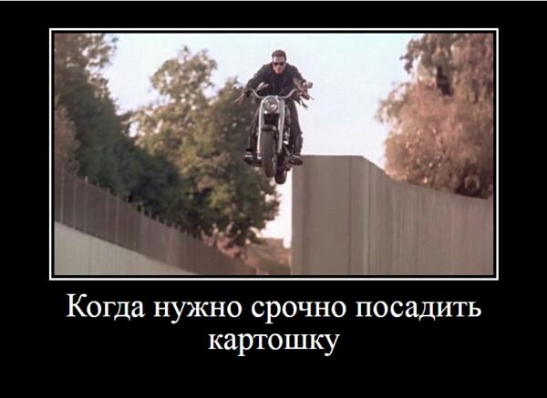 к Когда нужно срочно посадить картошку