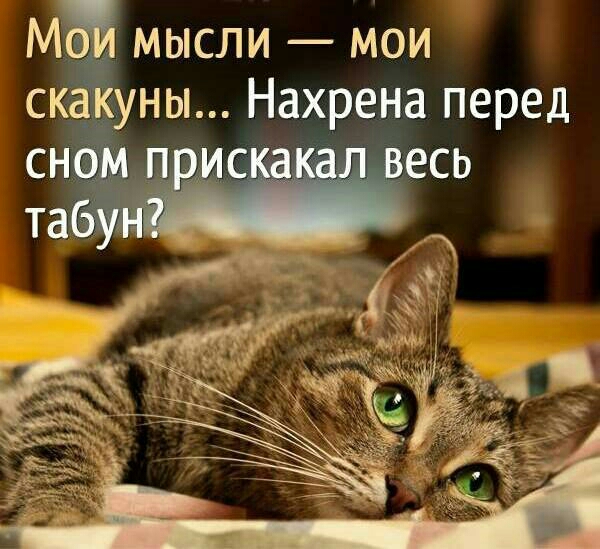 МОЙ мысли мои уны Нахрена перед