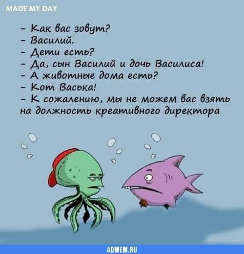 Как вас зовуит Василий Дети есть Да сын Василий и дочь Василиса А животные дома есть Кот Васька К сожалению мы не можем вас взяиль на должность креаиливного директора