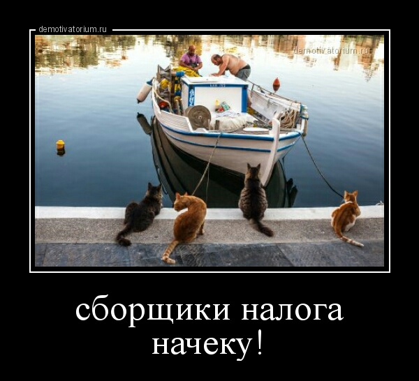 сборщики налога начеку