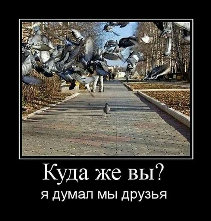Куда же вы я думал мы друзья