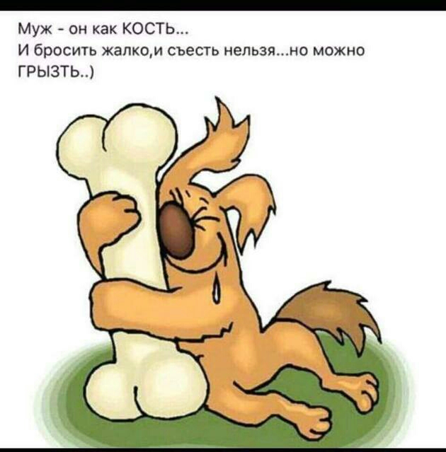 о Муж он как КОСТЬ И бросить жалко съесть нельзяно можно ГРЫЗТЬ