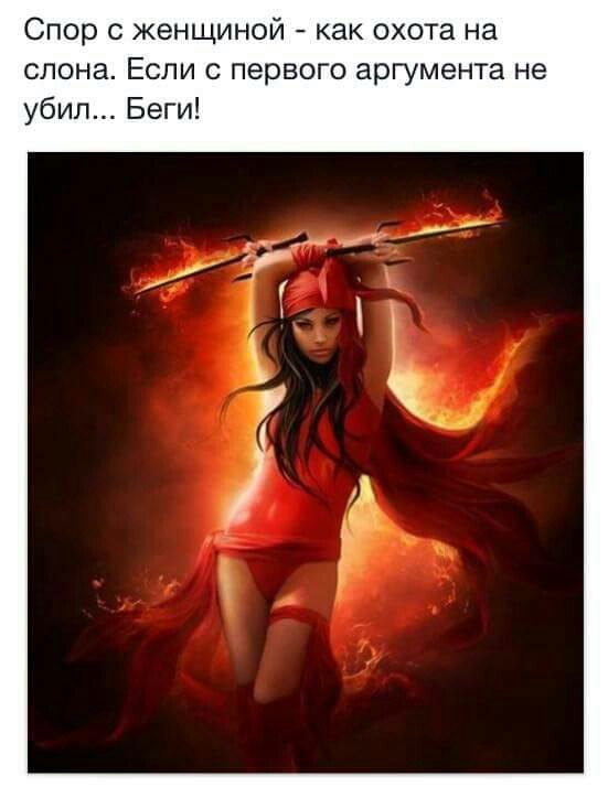 Спор с женщиной как охота на слона Если с первого аргумента не убил Беги