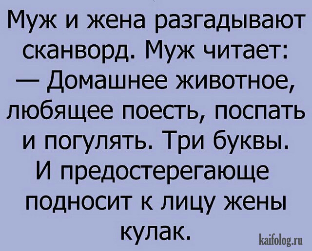 Муж и жена разгадывают сканворд Муж читает Домашнее животное пюбящее поесть поспать и погулять Три буквы И предостерегающе подносит к лицу жены Кулак мно
