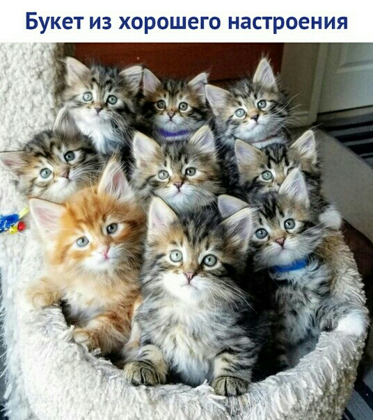 Букет из хорошего настроения