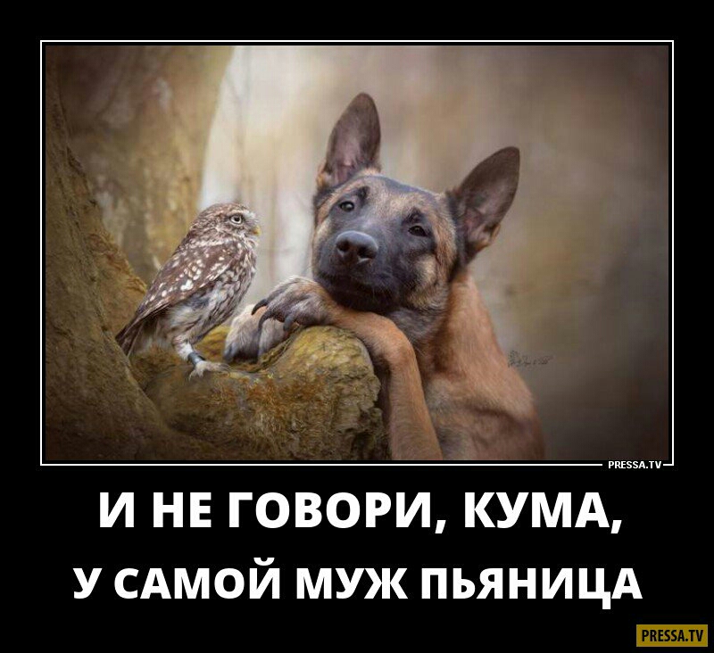 И НЕ ГОВОРИ КУМА У САМОЙ МУЖ ПЬЯНИЦА