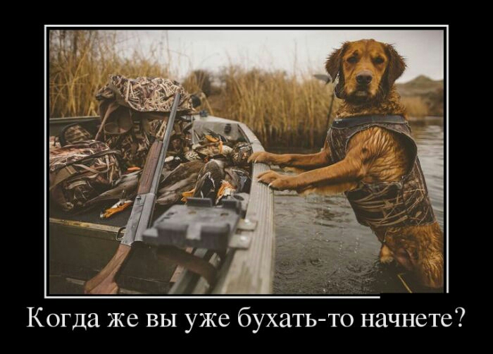 Когда же вы уже бухать то начнете