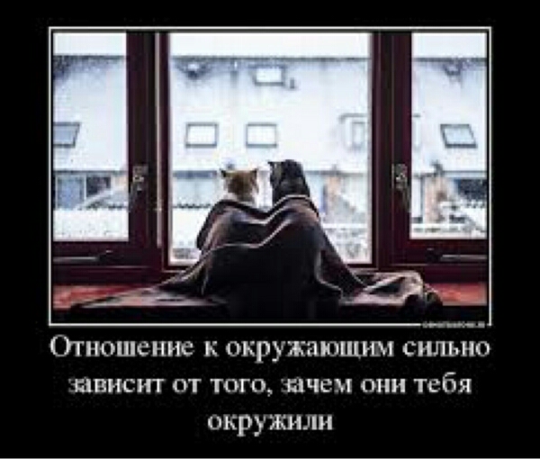 Општспне и оърумюшшп сильно твист от тиго шчсм они тебя окружили