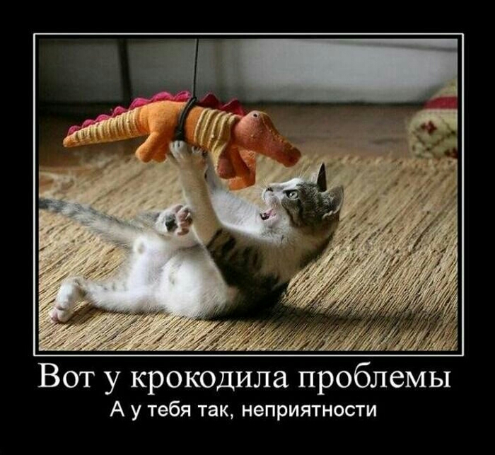 Вот у крокодила проблемы А у тебя так неприятности
