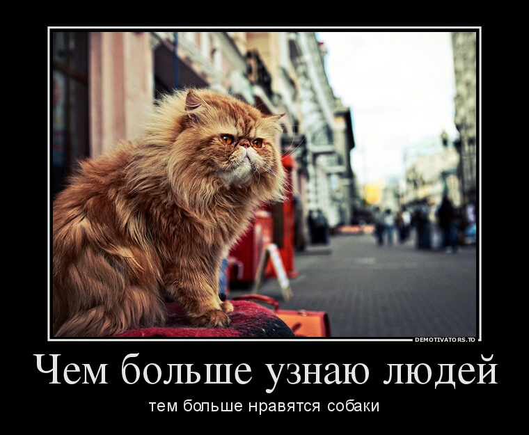Чем больше узнаю людей тем больше нравятся собаки