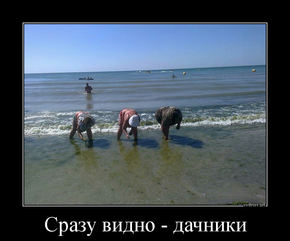 Сразу видно дачники