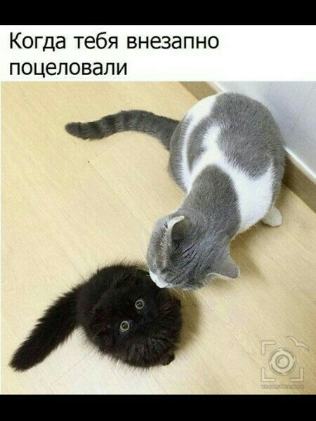 Когда тебя внезапно поцеловали