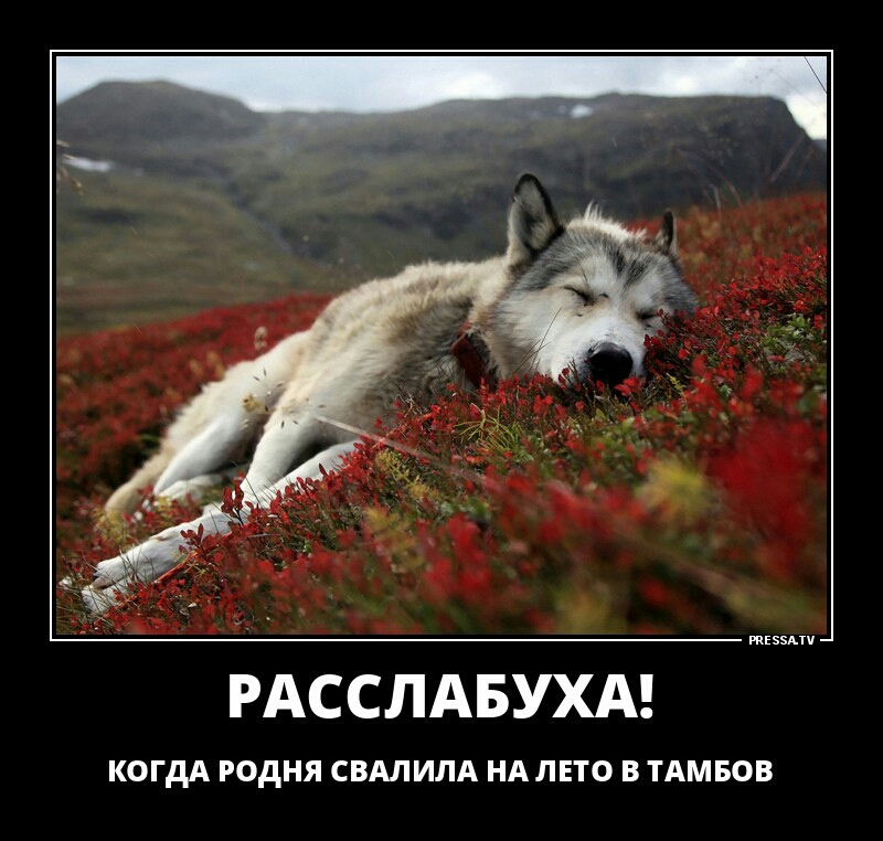 РАССЛАБУХА когдд годня свдлипд НА дно в ТАМБОВ