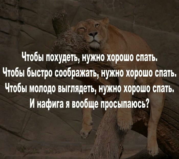 Чтобы похудеть нужно хорошо спать Чтобы быстро соображать нужно хорошо спать Чтобы молодо выглядеть нужно хорошо спать И нафига я пообше просыпаюсь
