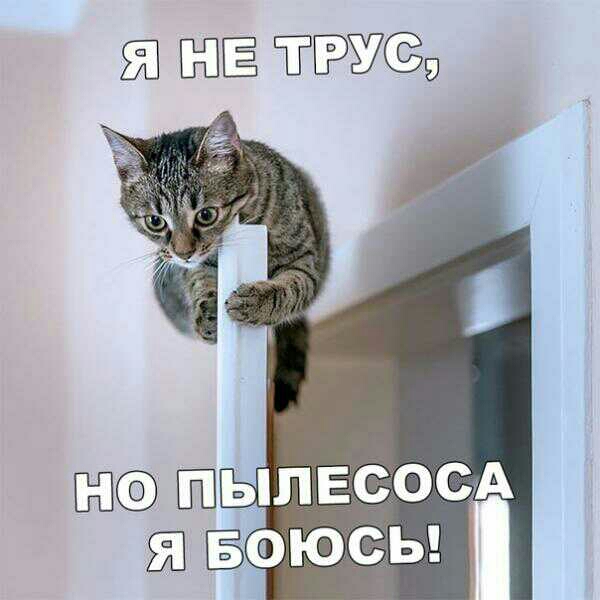 ЕЁ ЕЩЁ ТГЁУСЁЭ