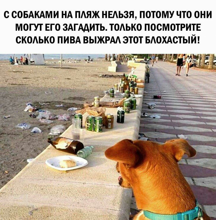 с ООБАКАМИ НА ПАЯЖ НЕАЬЗЯ ПОТОМУ ТО ОНИ МОГУТ ЕГО ЗАГААИТЪ ТОАЬКО ПОСМОТРИТЕ СКОАЬКО ПИВА ВЫЖРМ ЭТОТ БАОХАОТЫЙ чуя ьщ