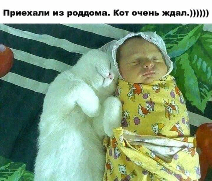 Приехали из роддома им очень ждал и