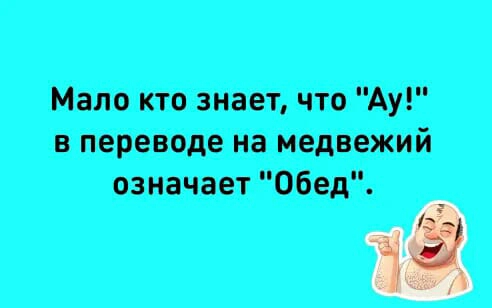 Мало кто знает что Ау в переводе на медвежий означает Обед