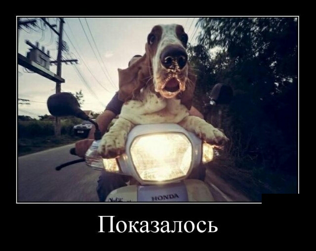 Показалось
