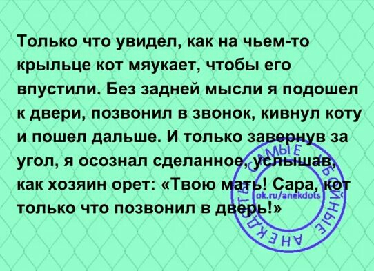 Только что увидел как на чьем то крыльце кот мяукает чтобы его впустили Без задней мысли я подошел к двери позвонил в звонок кивнул коту и пошел дальше И только заве в за угол я осознал сделанное как хозяин орет Твою только что позвонил в д