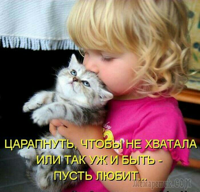 9 Тоны ДР ХВАТАЛ