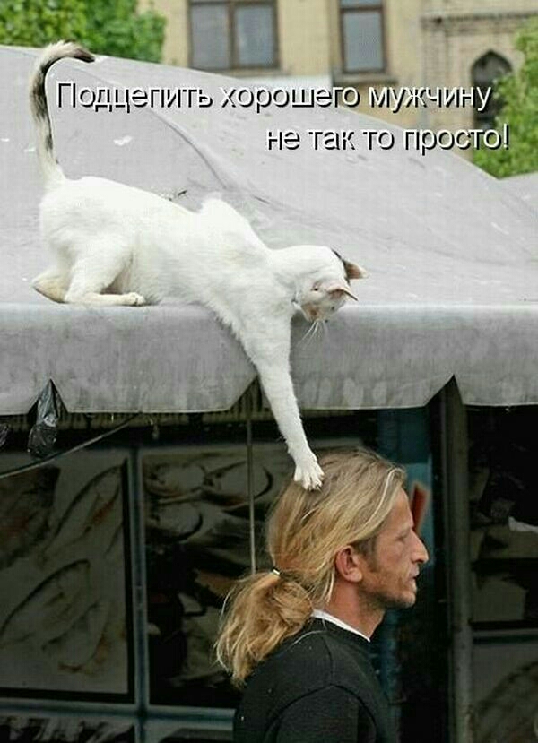 т Полцепить хорощеге ГОЛУу Уже не так то п0ее
