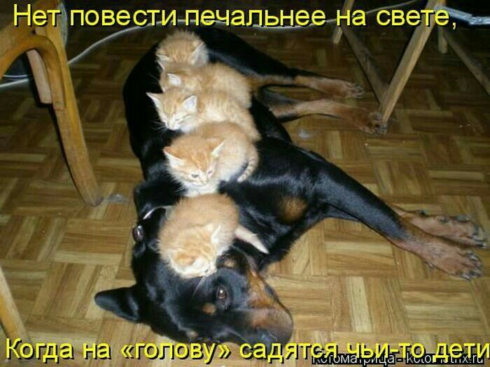 Нед 11е сти печальнее на с
