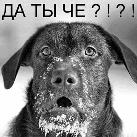 ДАТЫ ЧЕ 7