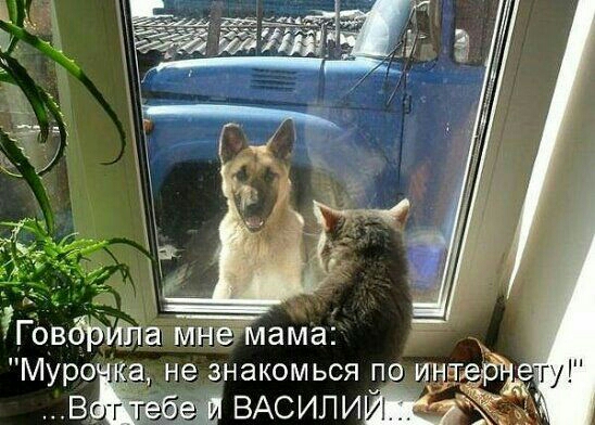 5 мйЁмама Муро а не Знакомься по ид ВЁёбэш ВАсипиттЁ