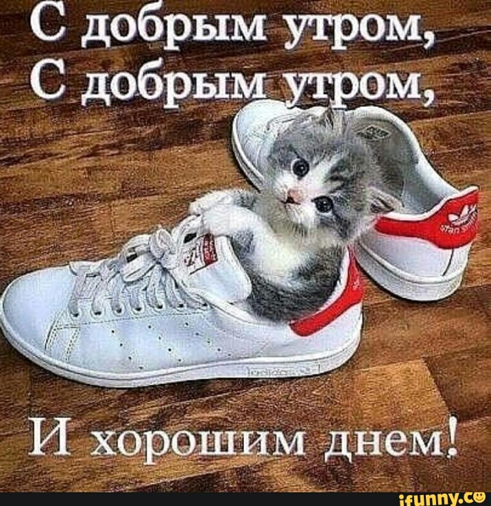 С добрым утром С добрым пом И хоёрОШИМ днем