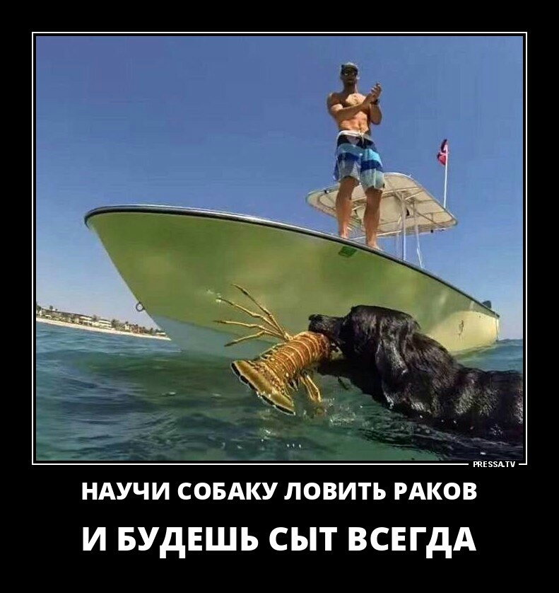 НАУЧИ сопку ловить гиков И БУДЕШЬ СЫТ ВСЕГДА