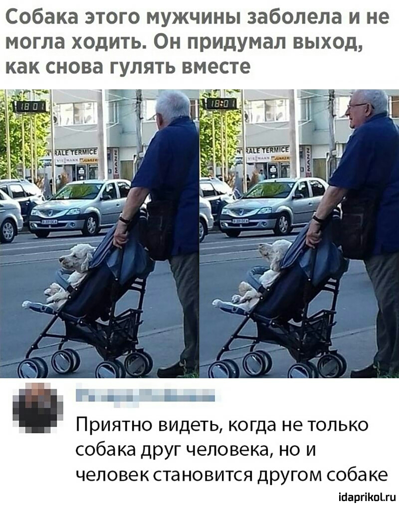 Собака этого мужчины заболела и не могла ходить Он придумал выход как СНОВЗ ГУЛЯТЬ вместе Приятно видеть когда не только собака друг человека но и ЧЕЛОВЕК СТЭНОВИТСЯ дРУГОМ соба КЕ шариками