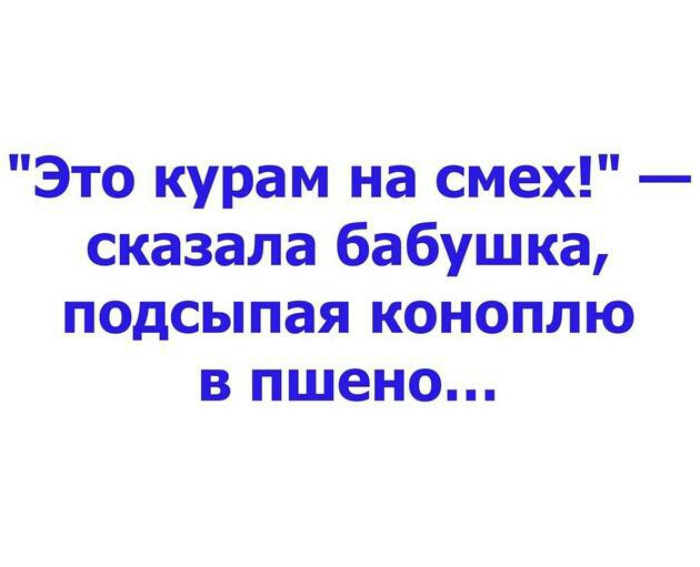 Это курам на смех сказала бабушка подсыпая коноплю в пшено
