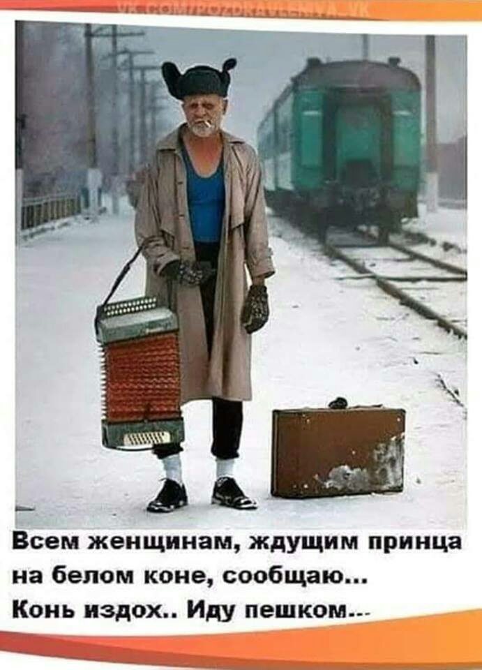 Всем женщинам ждущим принца на белом коне сообщаю Конь издох Иду пешком