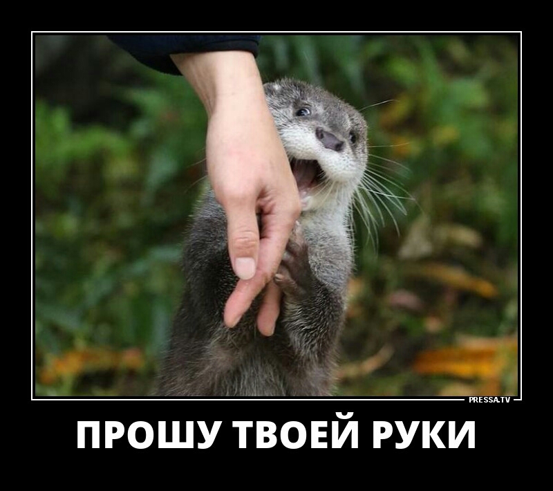 ПРОШУ ТВОЕЙ РУКИ